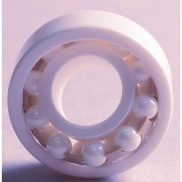 ceramic bearings for electric motors