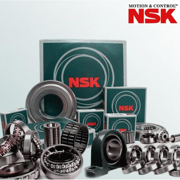 nsk 45 #1 image